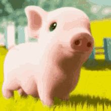 cute-pig-pink-pig.gif
