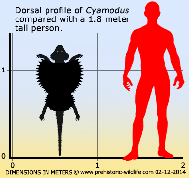cyamodus-size.jpg