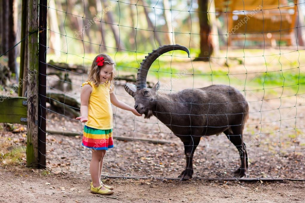 D395FD31-82E8-45BF-A045-5A1296E3DC56.jpeg