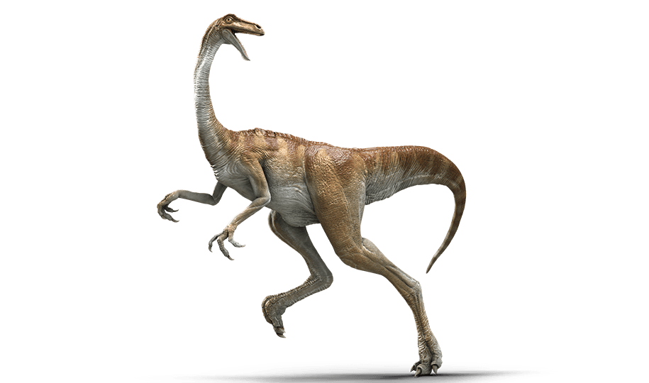 d8brjej-8a24635a-79e4-472b-a83b-ae8efcaffca9.png