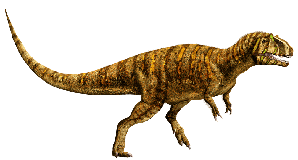 d8jnv3u-649c29f9-ab4c-4976-845d-42d98157737c.png