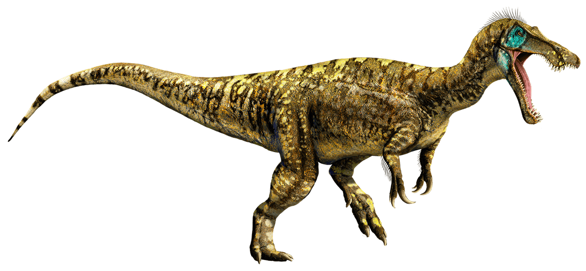d8jnvoy-a70b46bd-f82f-4149-b881-4fad9e8447bf (1).png