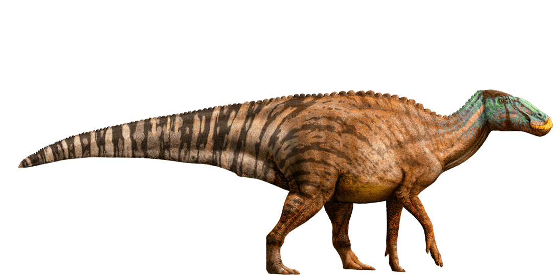 d8jnwug-4247110f-3c07-4e3f-bbd9-71a681368468.png