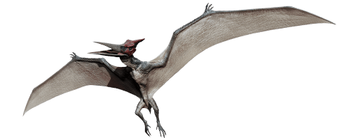 d8jny24-20d80585-f661-4587-abcf-18f87e2d58fd.png