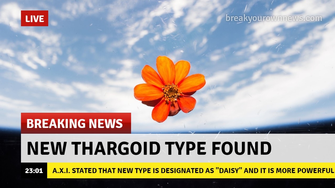daisy2.jpg