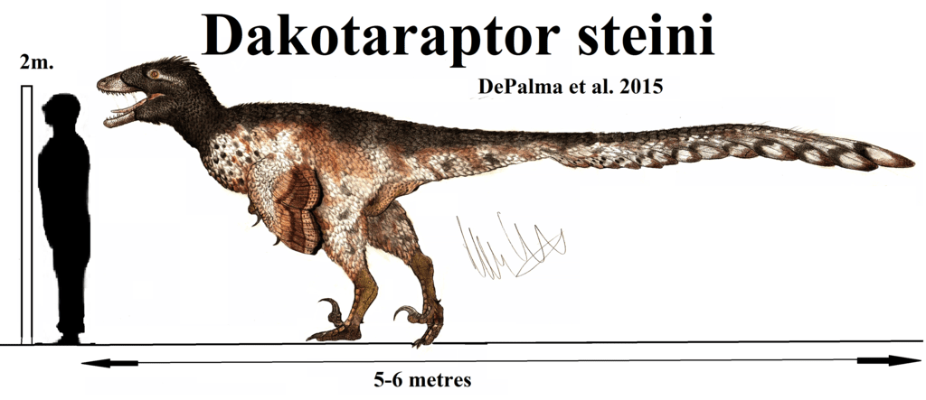 dakotaraptor_steini_by_teratophoneus-d9ikig9.png