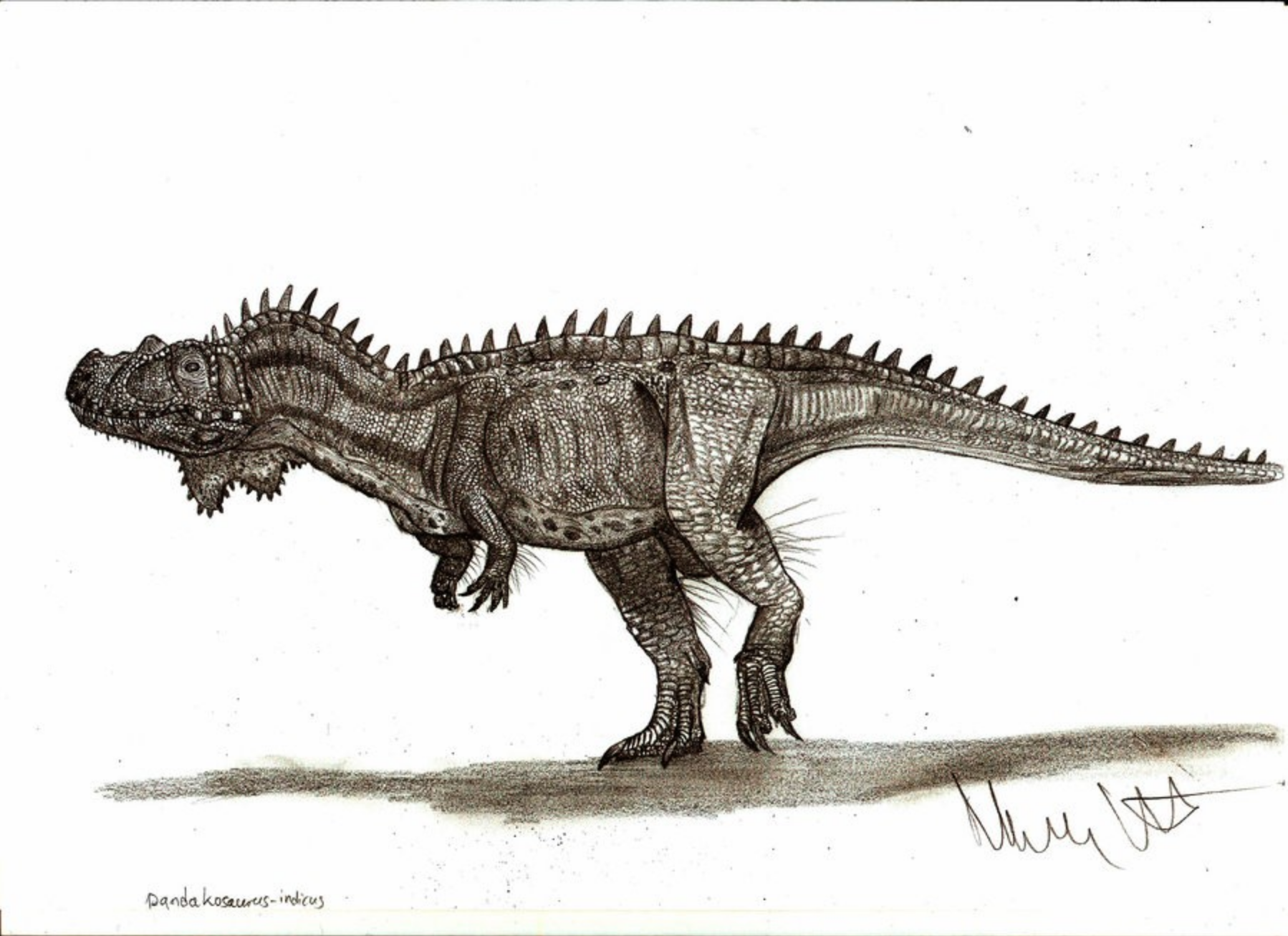 Dandakosaurus.png