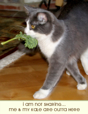 dante-and-kale9.jpg