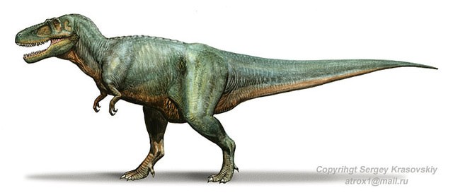 daspletosaurus-torosus_dc7d.jpg