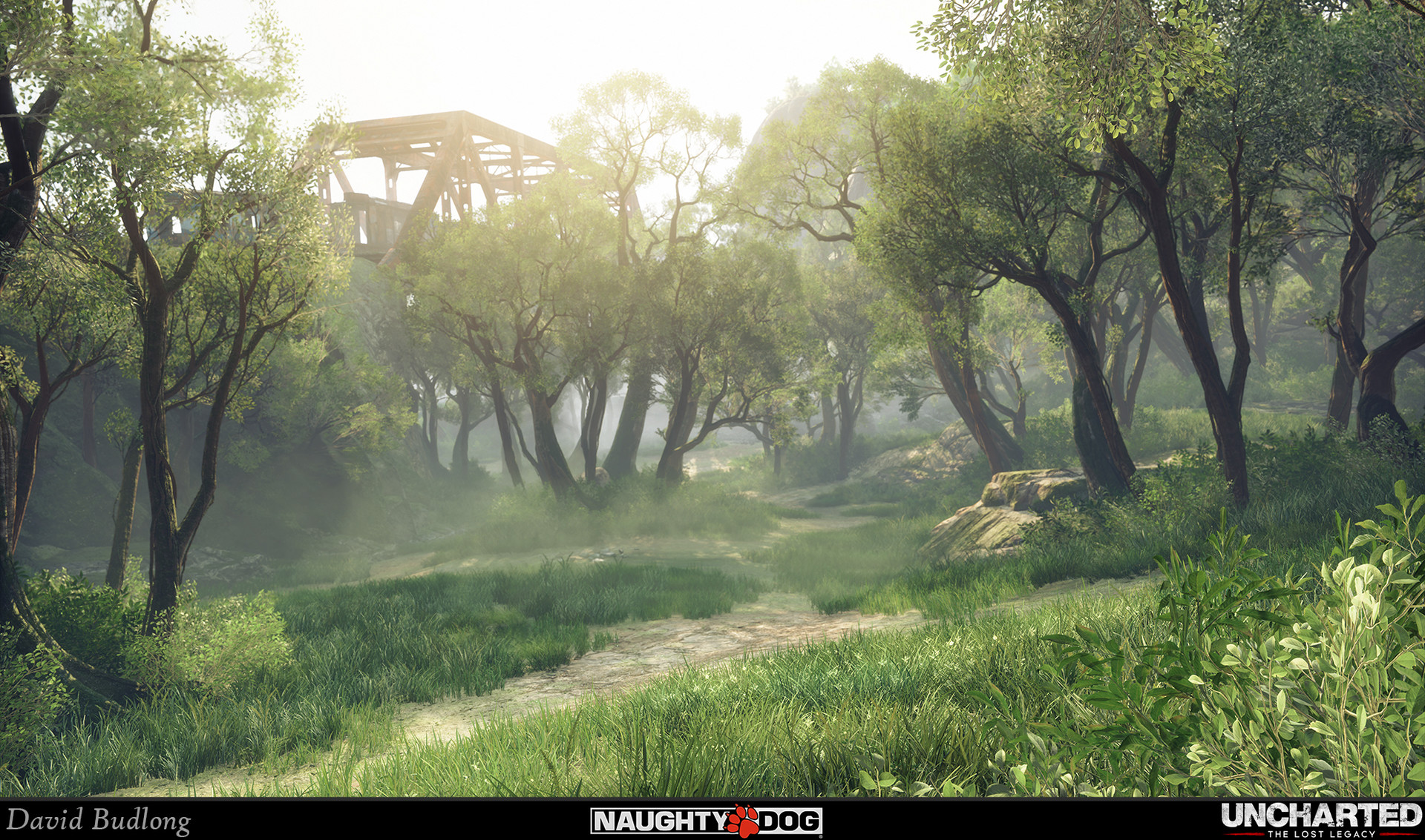 david-budlong-ull-screens-tra-forest-02.jpg