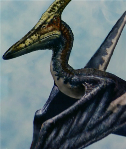 dbsfkxs-fcf2d10c-4c7f-4516-bb23-5efb404fc58c.png