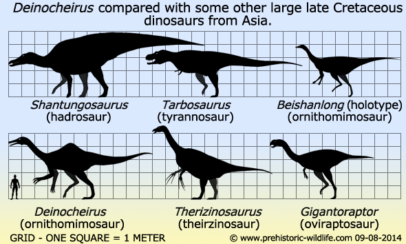 deinocheirus-compared-with-other-large-asian-dinosaurs.jpg