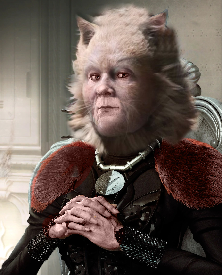 Dench cat.jpg
