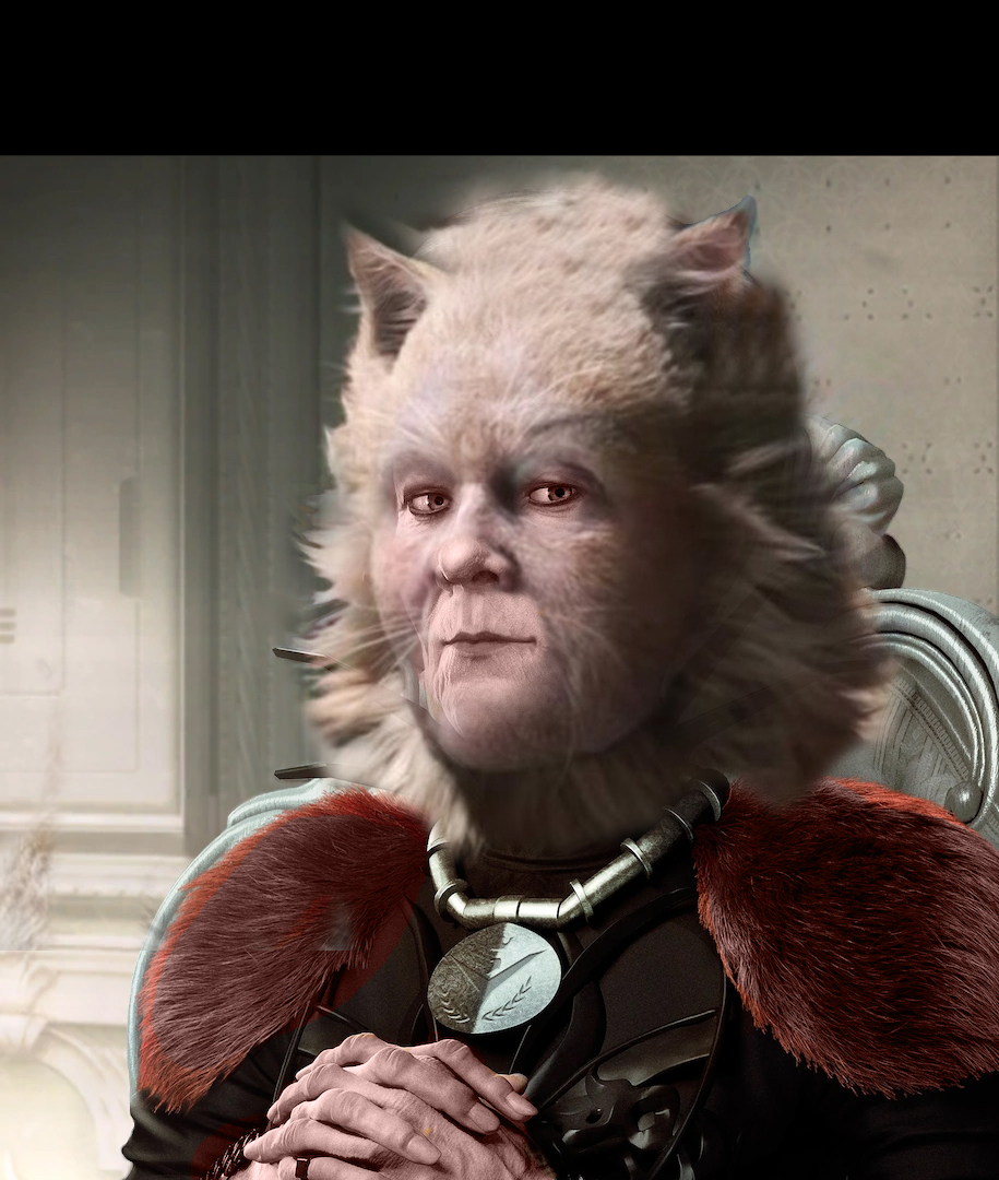 Dench cat2.jpg