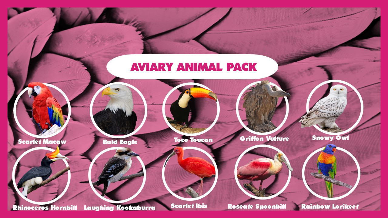 Potential Animal Roster Up To 2025 Frontier Forums