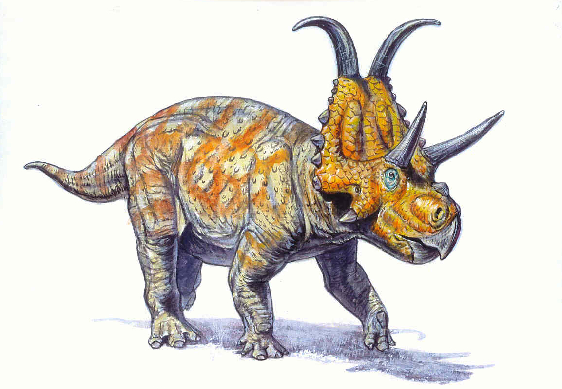 diabloceratops rendering_7.jpg