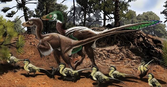 dibujo-dromaeosaurus.jpg