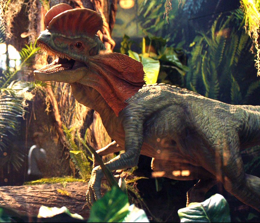 dilo-diorama.jpg