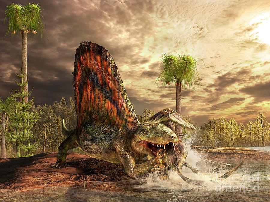 dimetrodon-catching-its-prey-masato-hattoriscience-photo-library.jpg