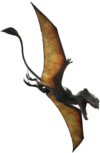 Dimorphodon_dczs5y5-000bb445-8667-4bec-9e0a-ef2b4f3d7b81.png