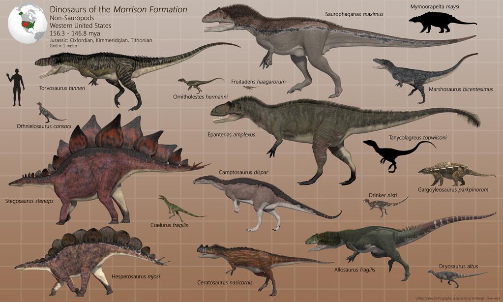 dinosaurs_of_the_morrison_formation_by_paleoguy_d923v2t-fullview.jpg