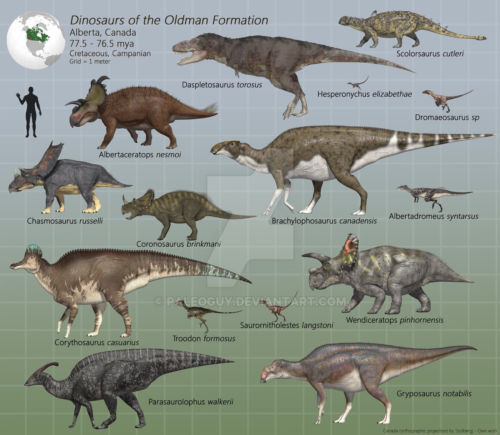 dinosaurs_of_the_oldman_formation_by_paleoguy_d9cypeh-fullview.jpg
