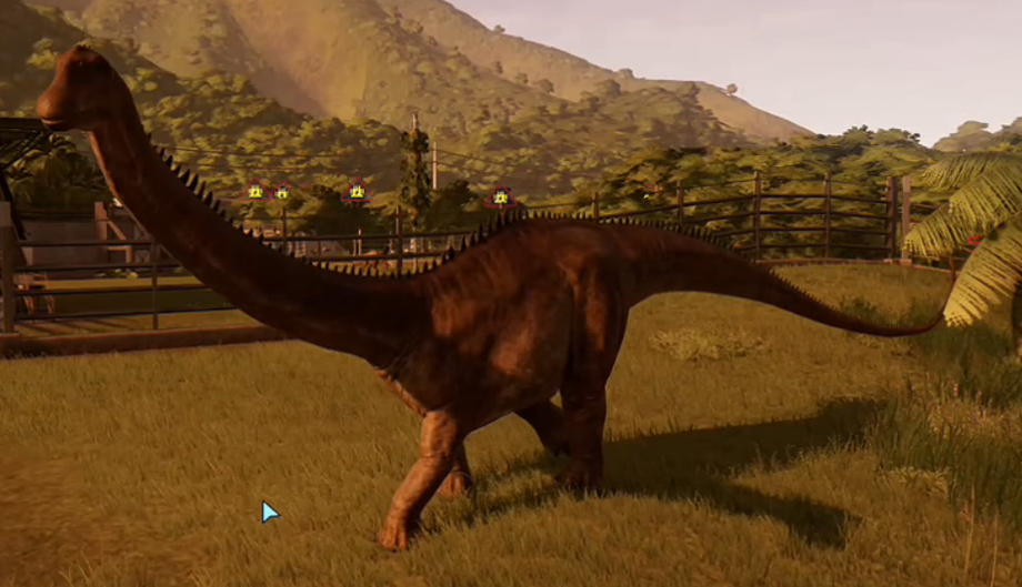 diplo.png