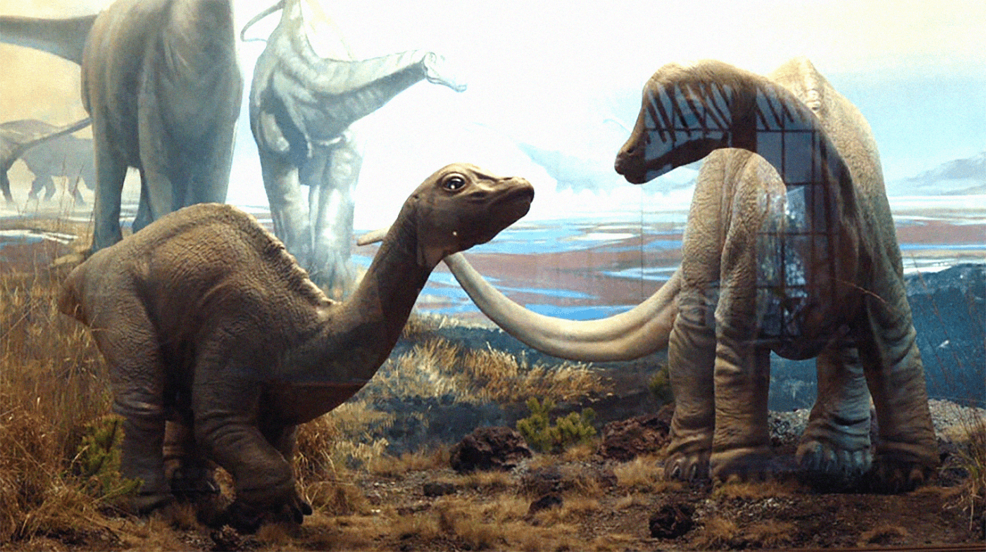 diplodocus-prototype-genome-HD.png