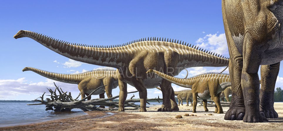 diplodocus-raul-martin.jpg