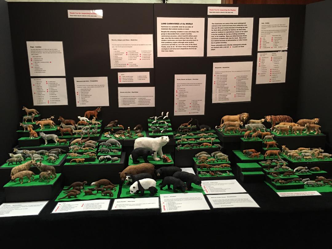 Display-2.jpg