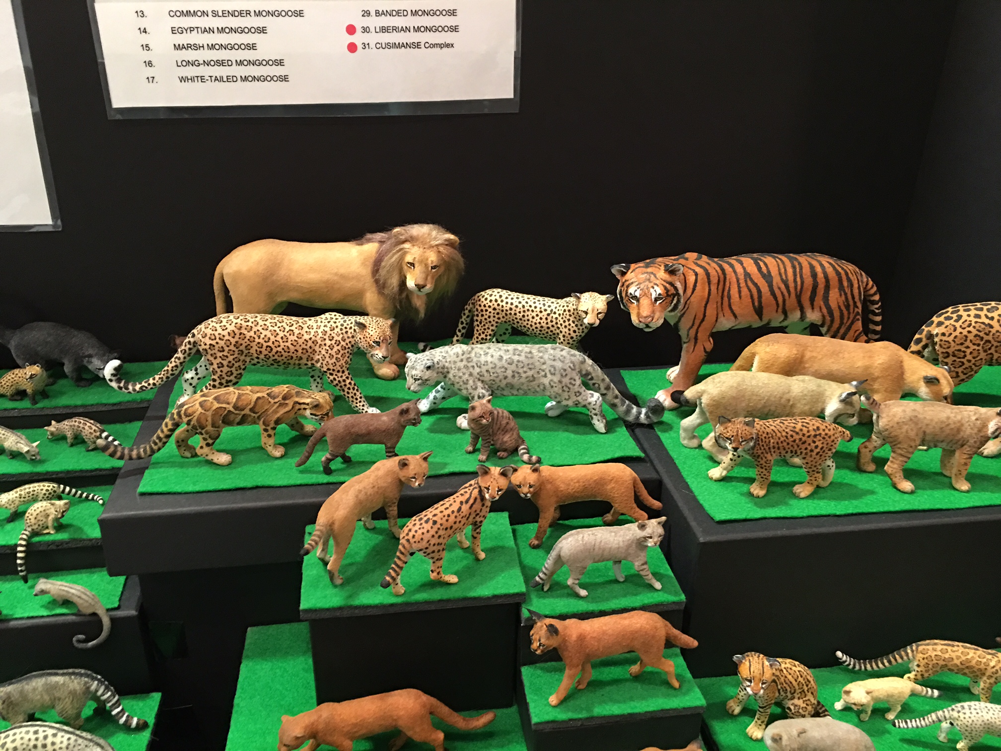 display-4.JPG
