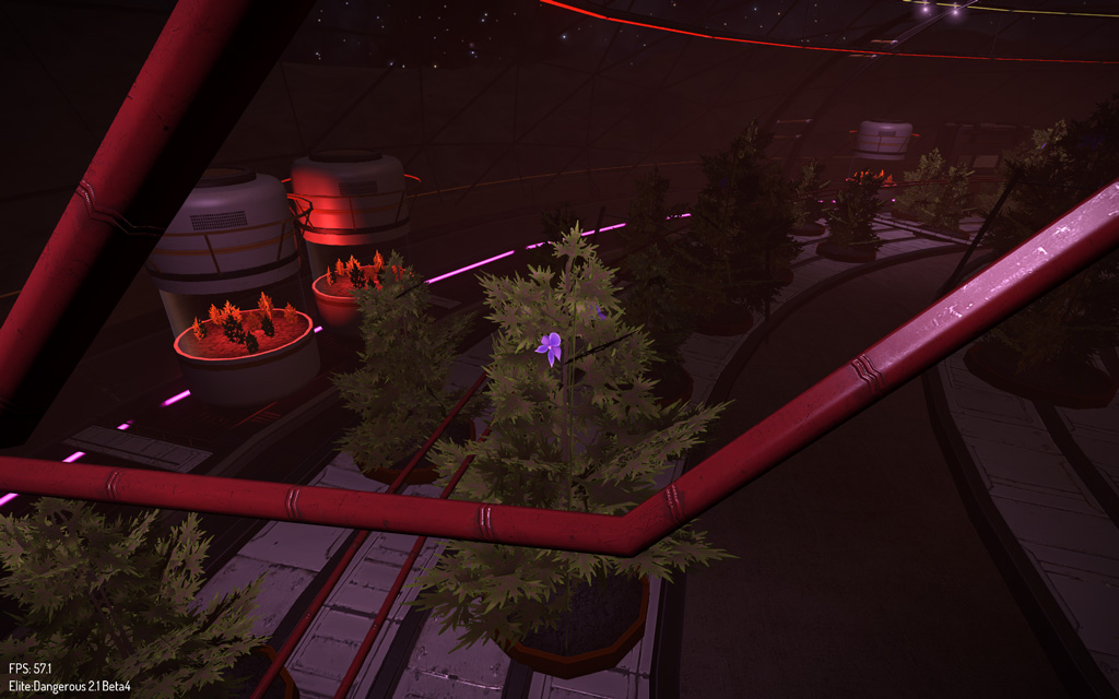 Dome_flower.jpg