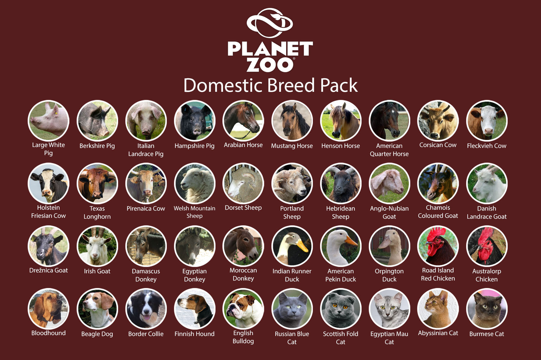 Domestic Breed Pack.jpg