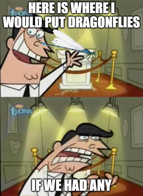 Dragonfly Walkthrough Exhibit Meme.png