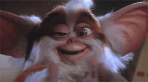 drunk gremlin.gif
