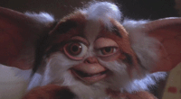 drunk gremlin.gif