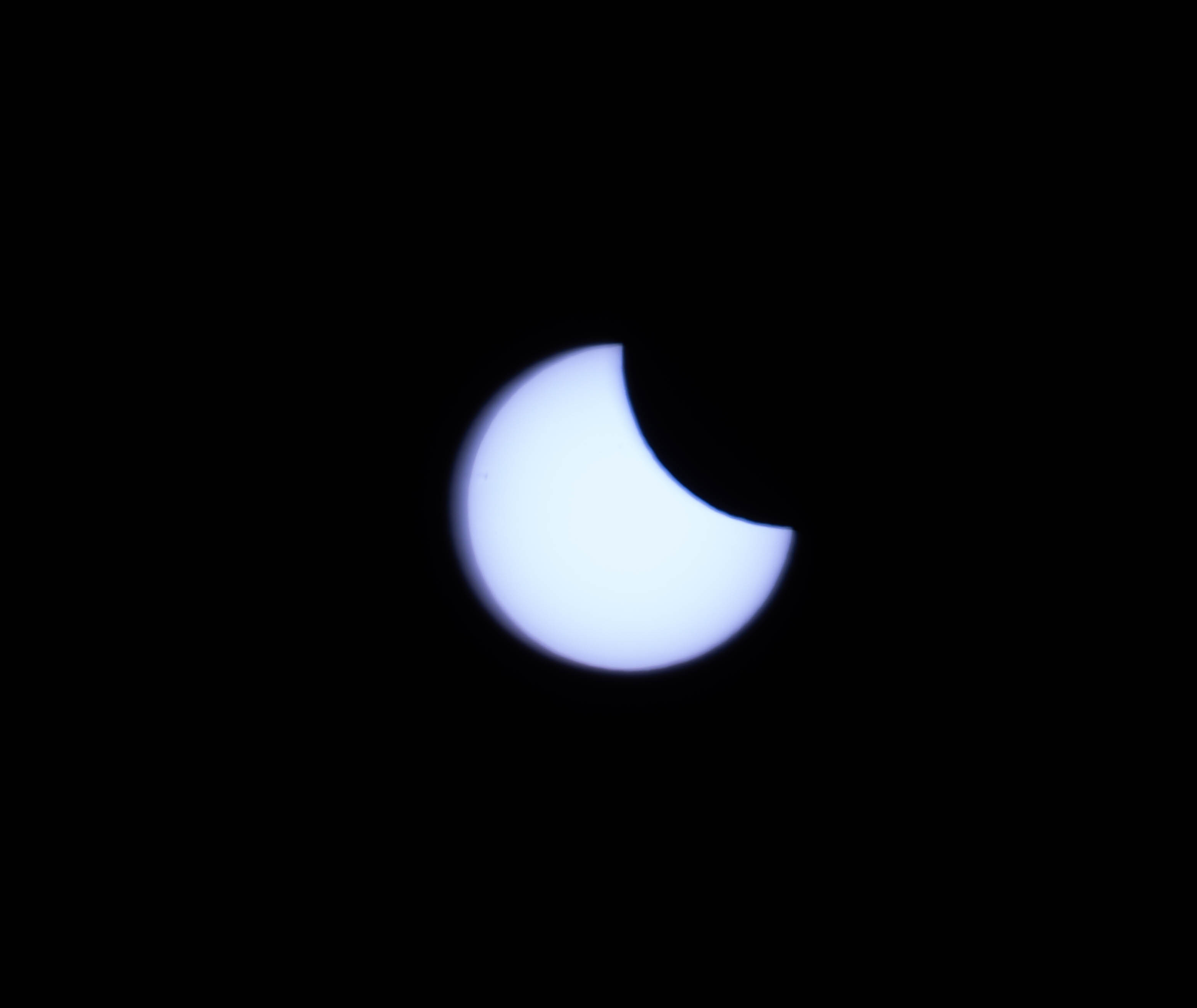 DSC00115.jpg