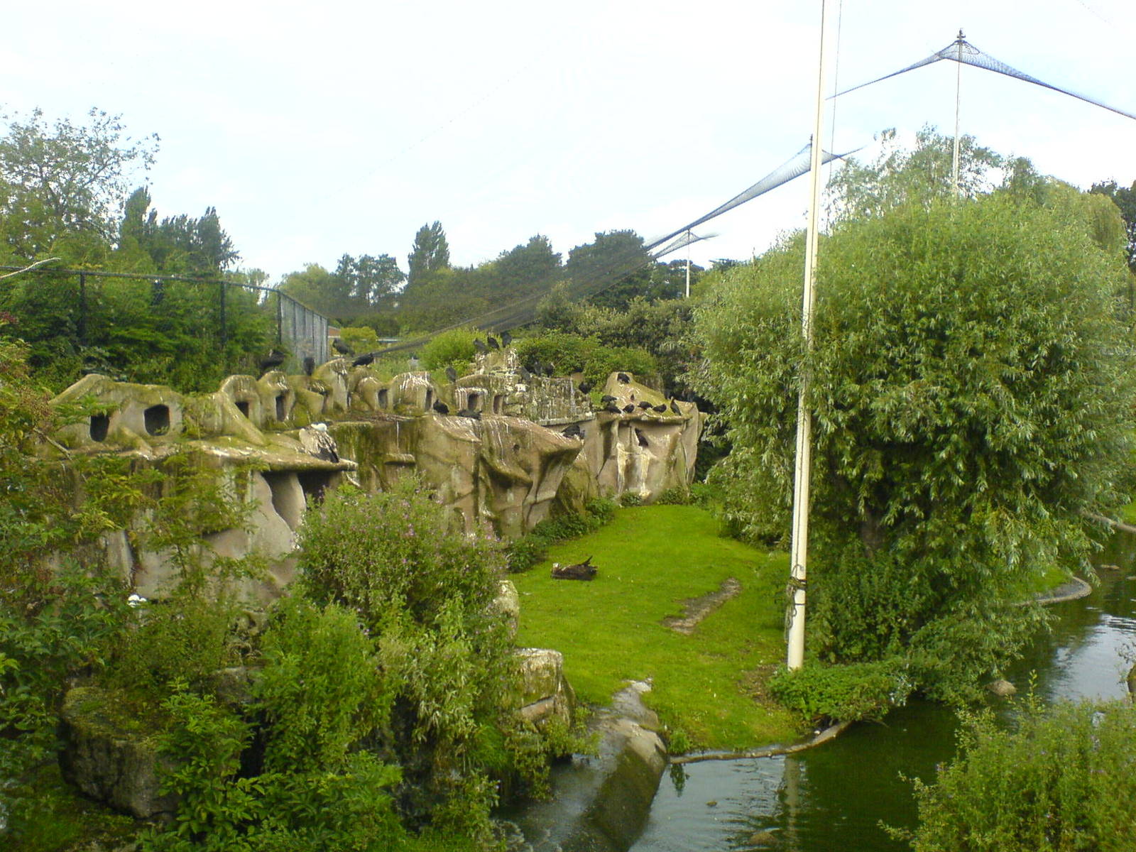 DSC00488.JPG