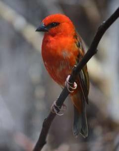 DSC_0309.jpg