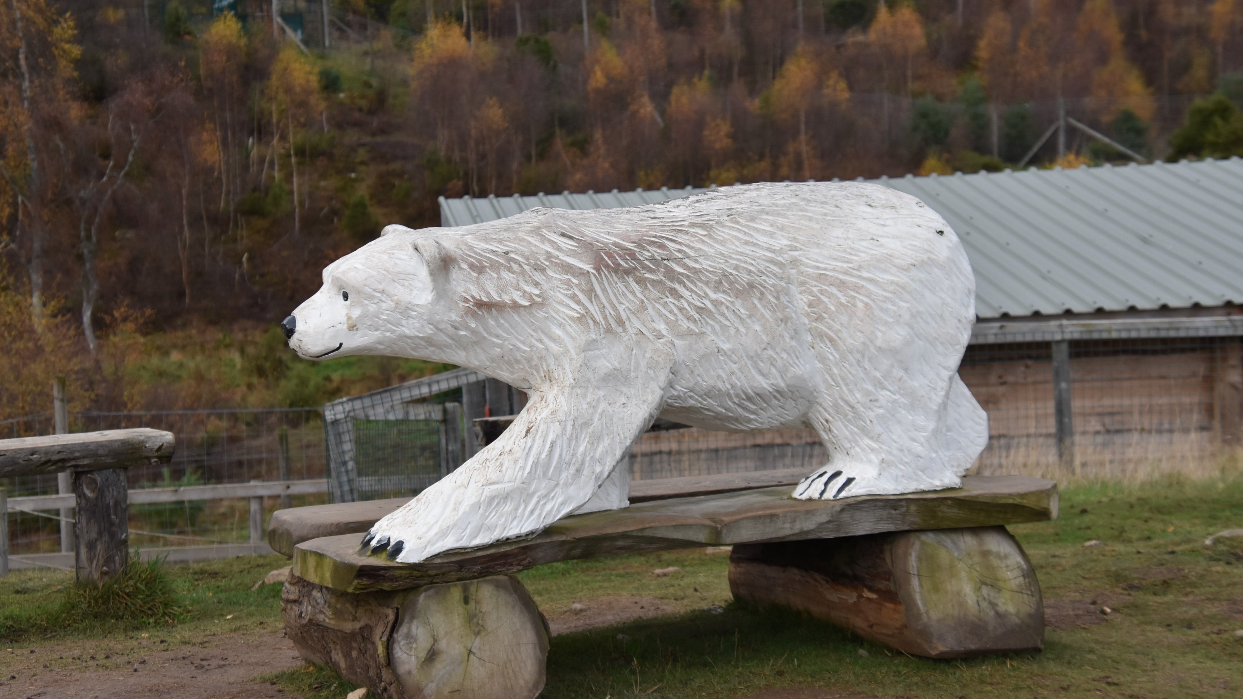 DSC_0411.JPG