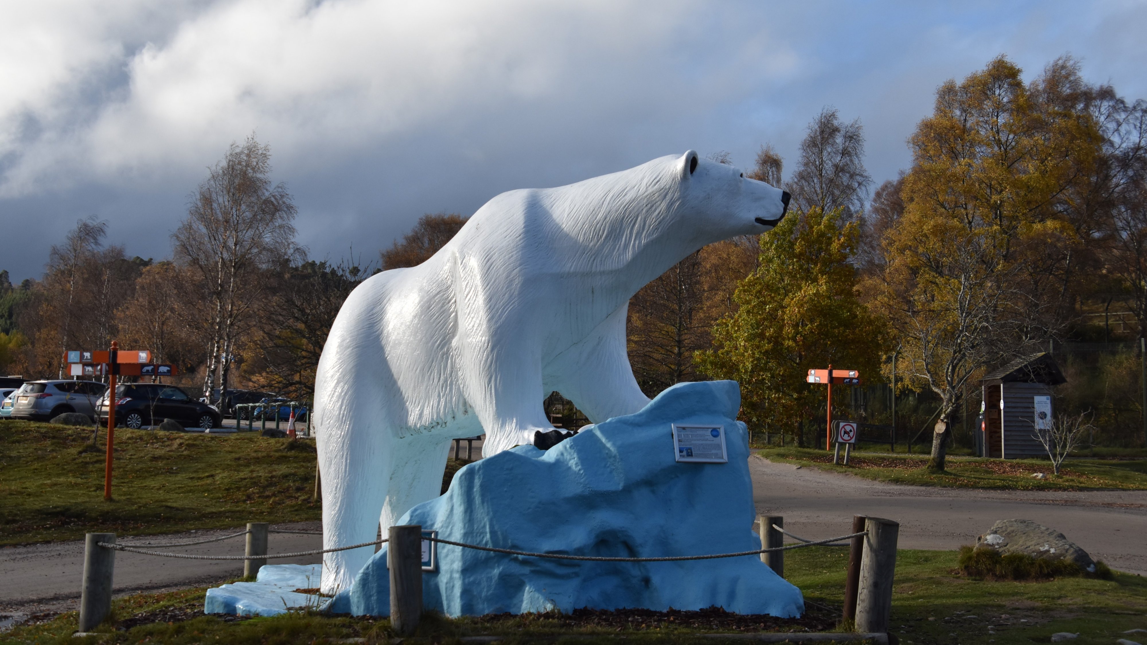 DSC_0678.JPG