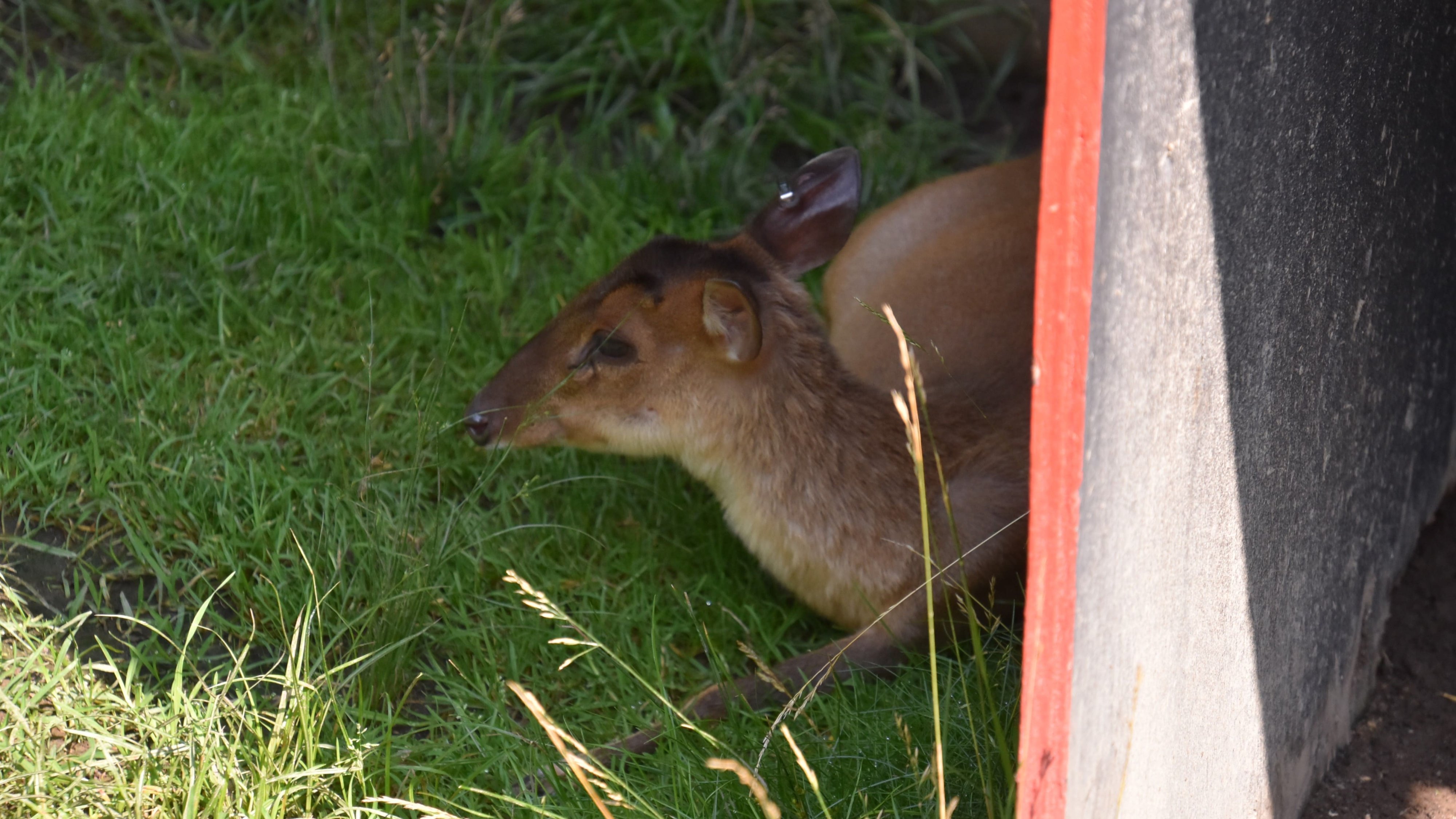 DSC_0886.jpg