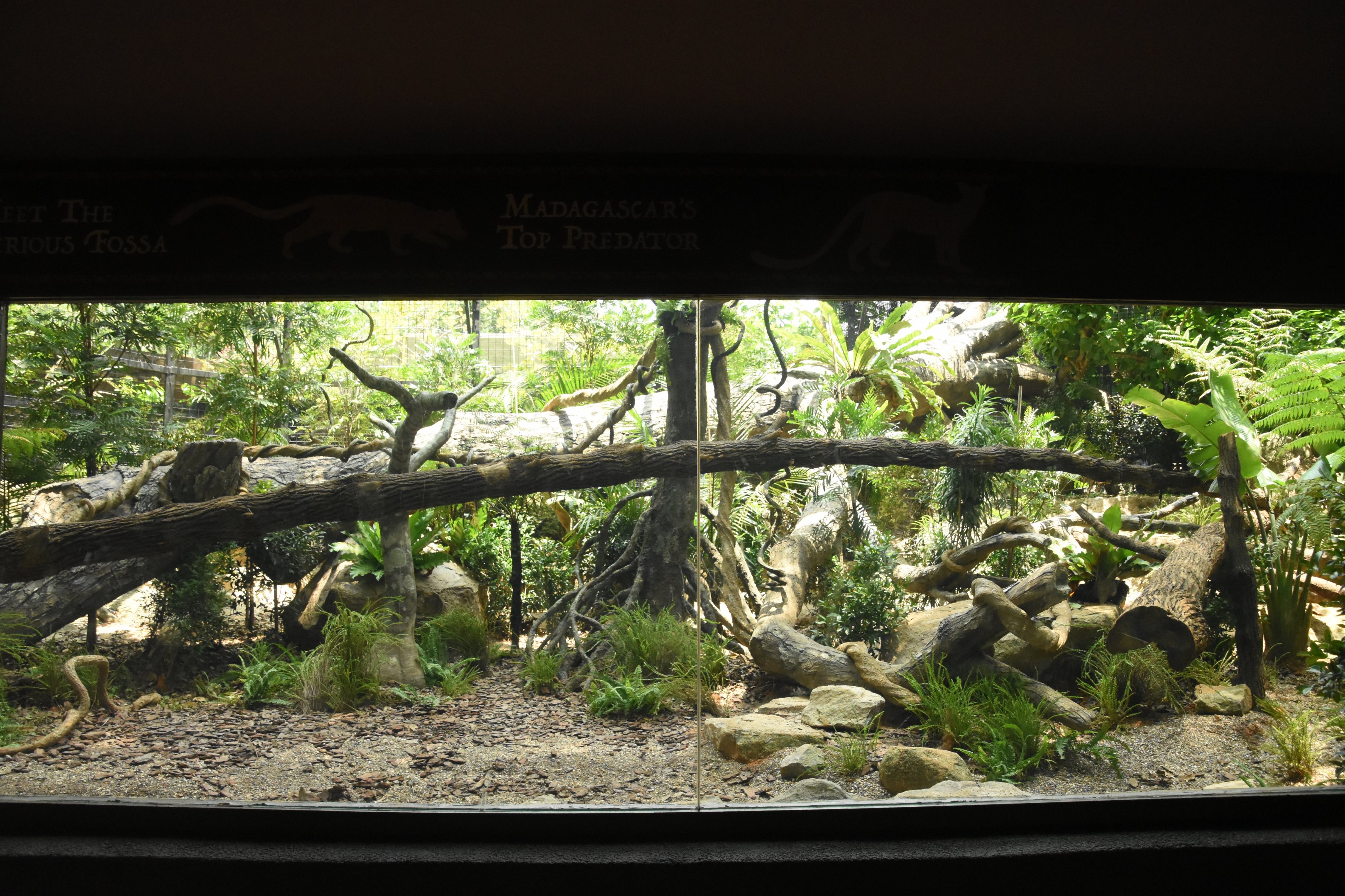 DSC_4035.JPG
