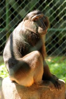 DSC_6403.jpg