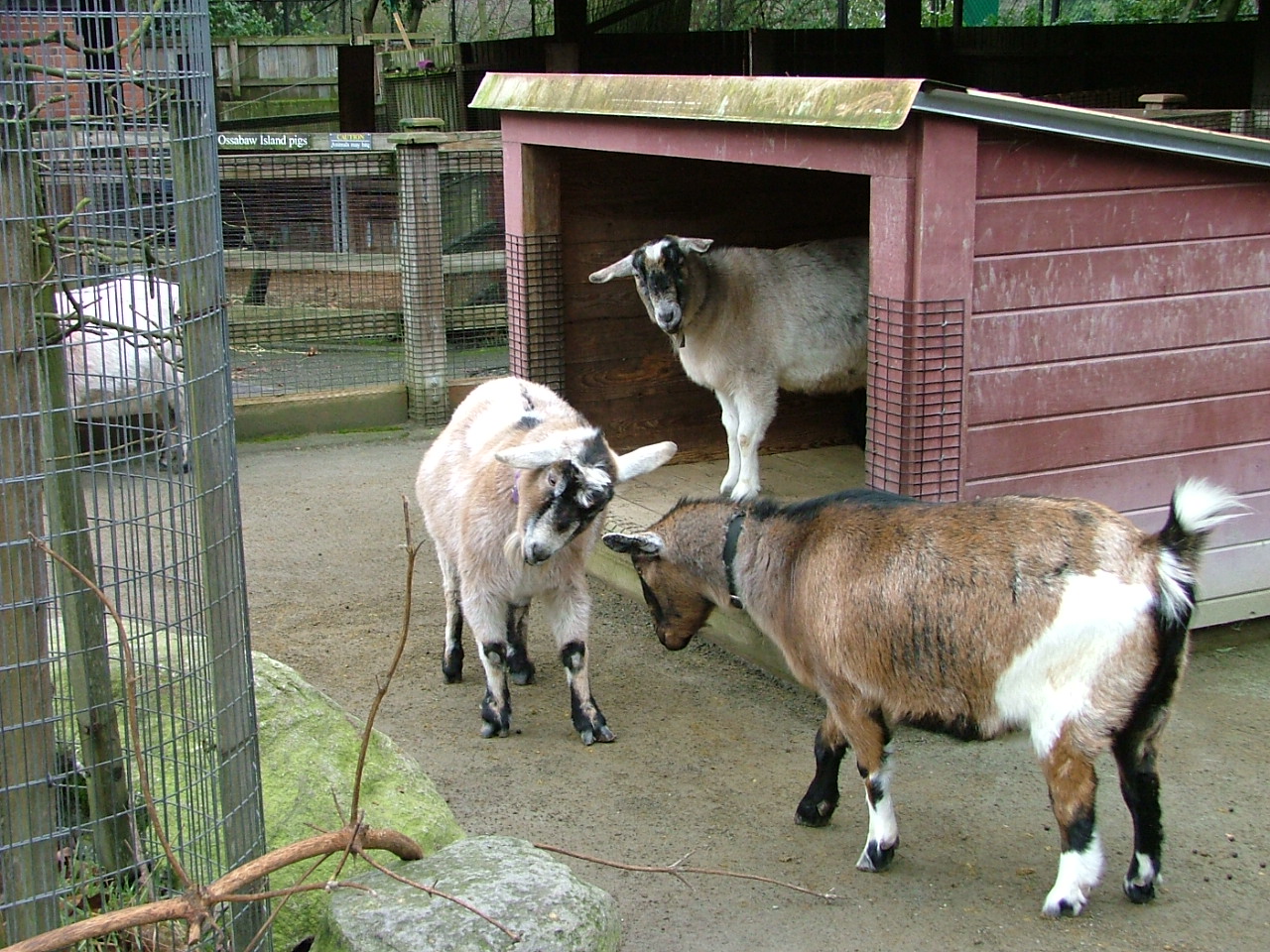 dscf1764.jpg