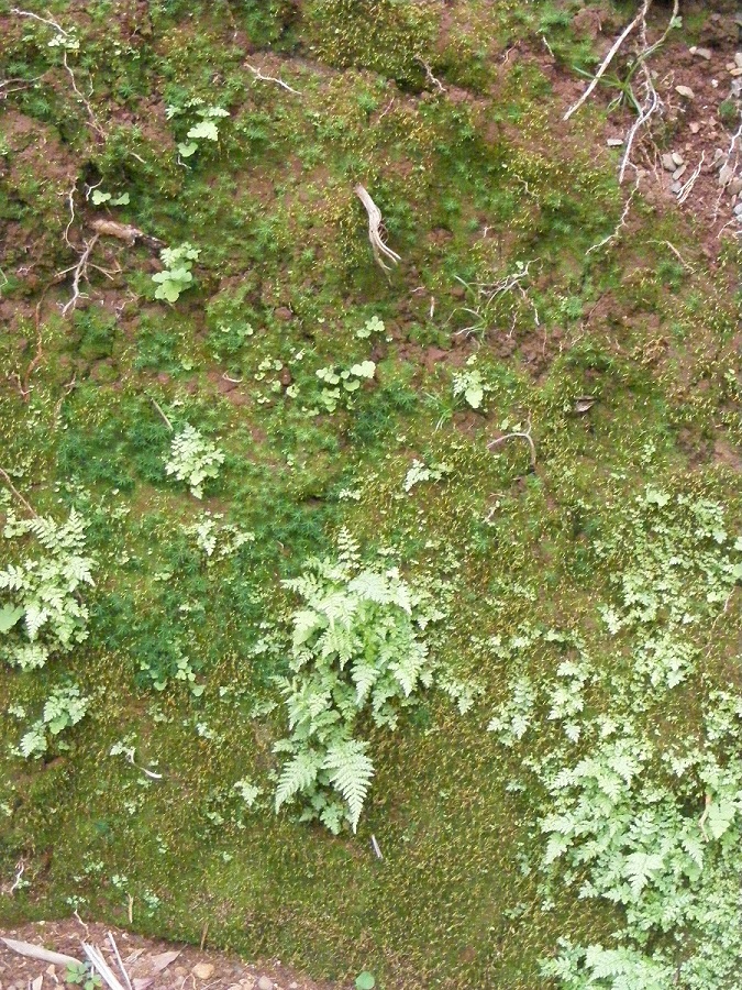 DSCF4497.jpg
