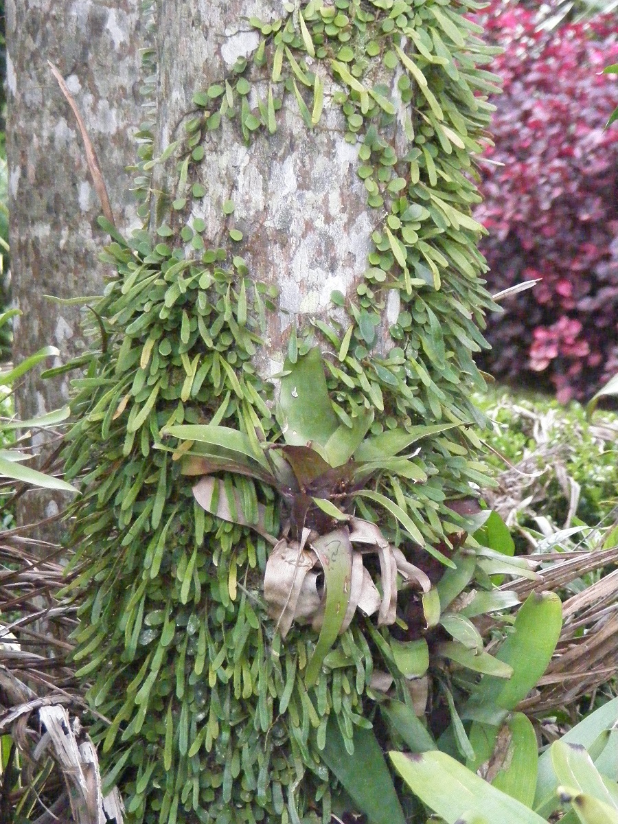 DSCF4508.jpg