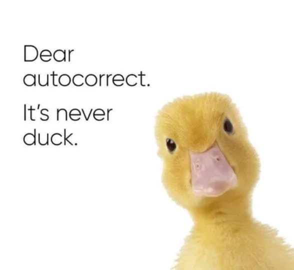 duck.jpg