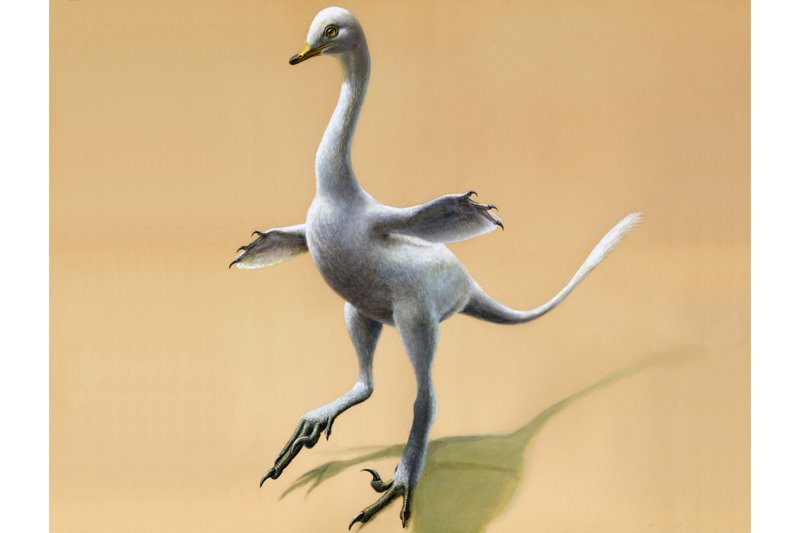 Duckosaurus.jpeg