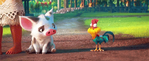 e1e53b6953e055455c66d9646b136783.gif